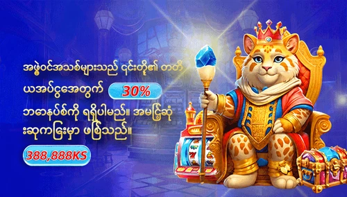 အဖွဲ့ဝင်အသစ်များသည် ၎င်းတို့၏ တတိယအပ်ငွေအတွက် 30% ဘောနပ်စ်